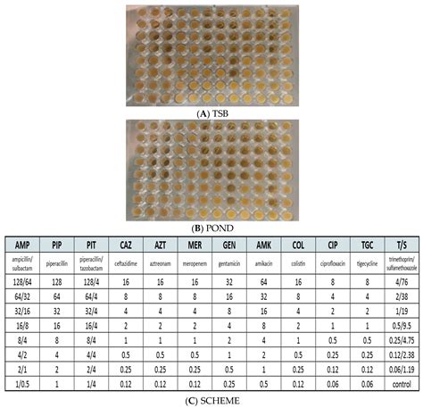 Risks of Antibiotic Resistance Dissemination by Leachates from ...