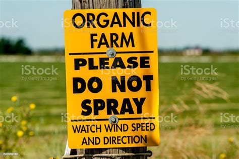 Organic Produce Sign 的图像结果