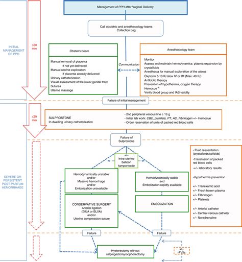 Management of postpartum hemorrhage: how to improve maternal outcomes ...