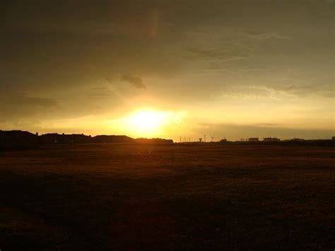 THE BEST Restaurants in Texas (Updated March 2026) - Tripadvisor