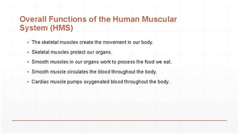 Image result for Muscle Groups and Functions