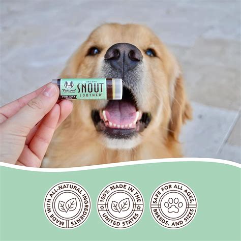 Sniff Out the Best: Reviewing 5 Dog Nose Balms for the Furriest Friend