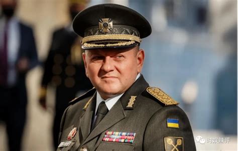 乌克兰总司令扎卢日内和泽连斯基矛盾激化！乌军反攻内幕曝光！_腾讯新闻