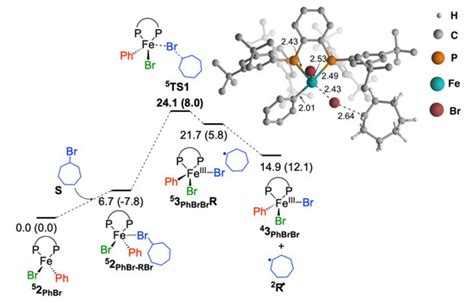 A DFT Study on FeI/FeII/FeIII Mechanism of the Cross-Coupling between ...