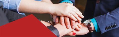 Partnerships for the Goals - Adypu