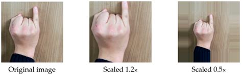 Investigating Effective Geometric Transformation for Image Augmentation ...