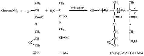Preparation of Novel Poly(hydroxyethyl methacrylate-co-glycidyl ...