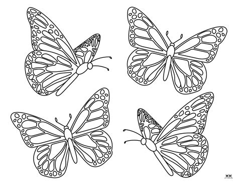 Butterfly Coloring Pages - 50 FREE Pages | Printabulls