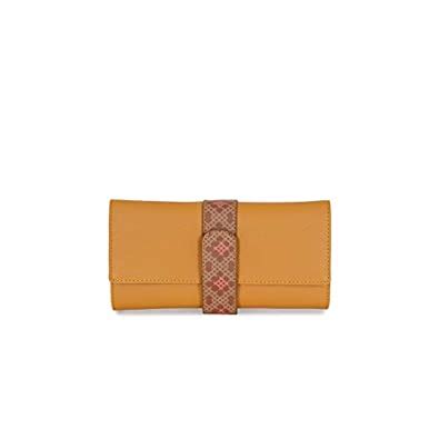Baggit Women's Clutch (MANGO) : Amazon.in: Fashion