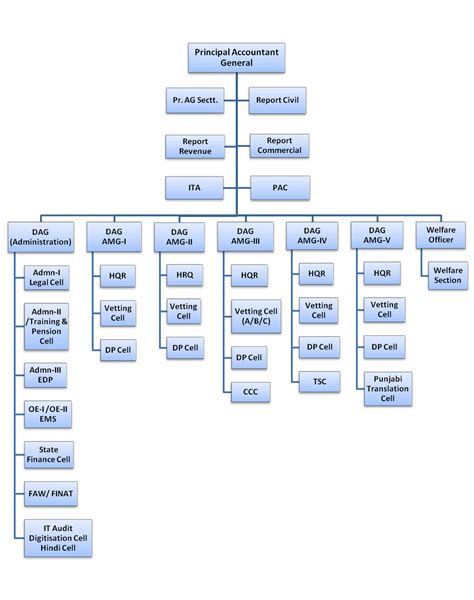 Organization Chart | Accountant General (Audit) Punjab, Chandigarh