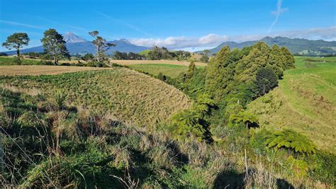 Hurford Road Farm filling in the gaps planting, Omata, 28 Hurford Rd ...