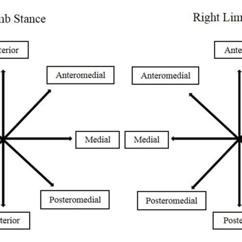 Image result for Star Excursion Balance Test