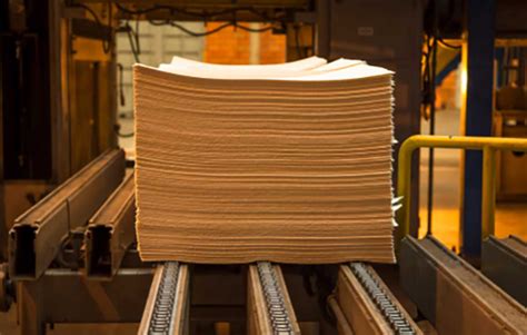 Image result for Eucalyplus Pulp