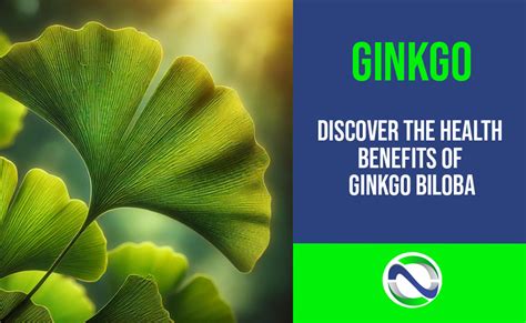 Image result for Optimize Nutrition