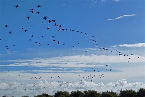 RIVER FRIENDS (2026) All You Need to Know BEFORE You Go (with Photos ...