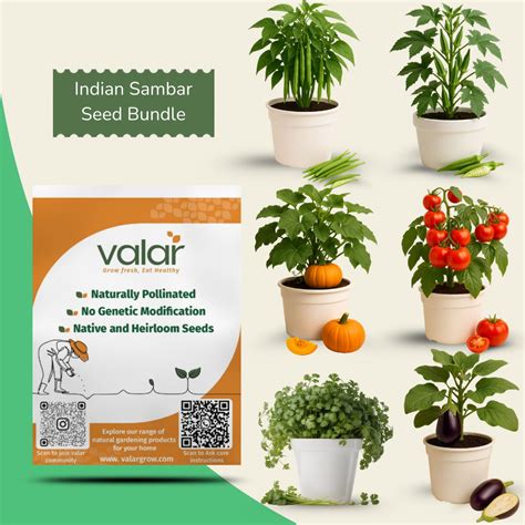 South Indian Sambar Seeds (Cluster Beans, Tomato, Okra, Brinjal ...