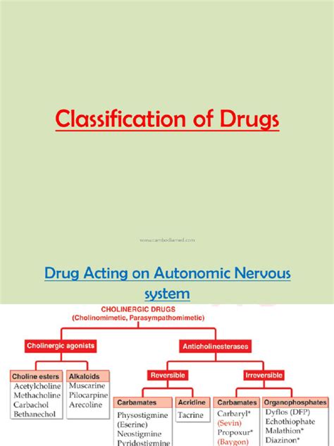 Image result for Types of Drugs Classification