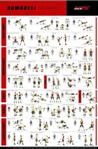 Dumbbell Exercise Poster - Gym workout Paper Print - Pop Art posters in ...