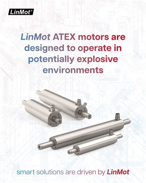 Image result for LinMot Mag Spring