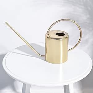 UGAOO Gilt Metal Watering Can (Gold, 2 Litre) with Long Spout for ...