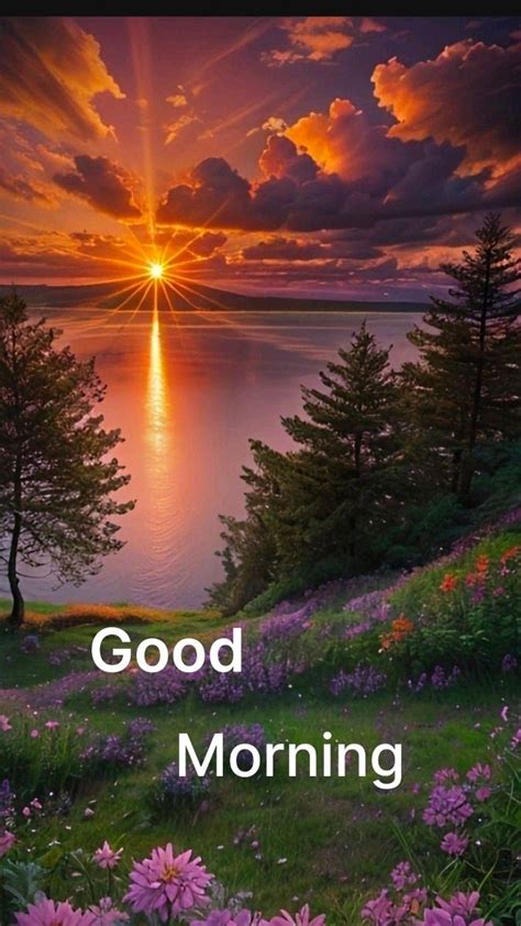 Good Morning Busy 的图像结果