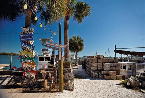 Florida Fishing Charters - Guide to the Best Charter Fishing in Florida