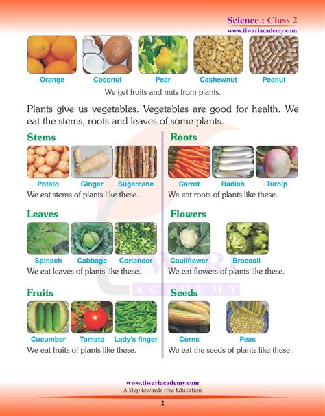 Image result for Class 2 Science Plant