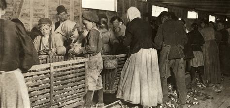 Hine Oyster Shuckers 1911 Nyoung Boys and Girls Working Alongside Men ...