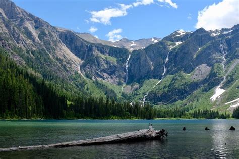 Image result for Hard Shell Camera Backpack