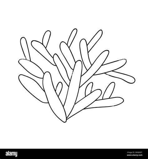 Image result for Draw Coral Reef