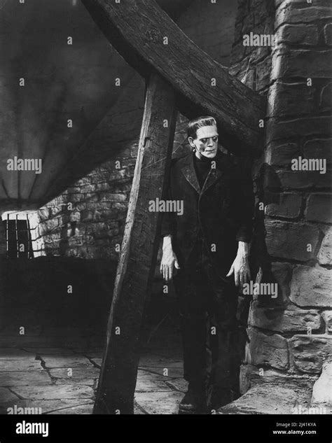 BORIS KARLOFF in FRANKENSTEIN: FRANKENSTEIN (1931) -Original title: FRANKENSTEIN-, directed by ...