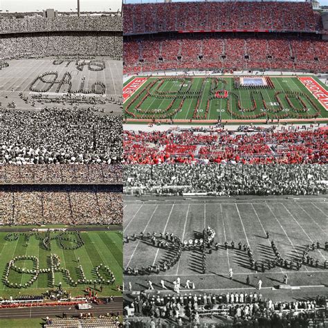 Image result for Script Ohio Live