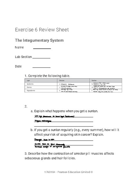 Integumentary System Review Sheet - Studocu
