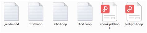 Image result for How to Decrypt Hoop Files
