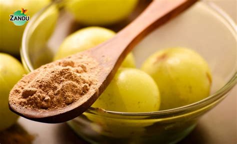 Using Amla Powder for Hair Grow: 5 Benefits & Steps to Apply