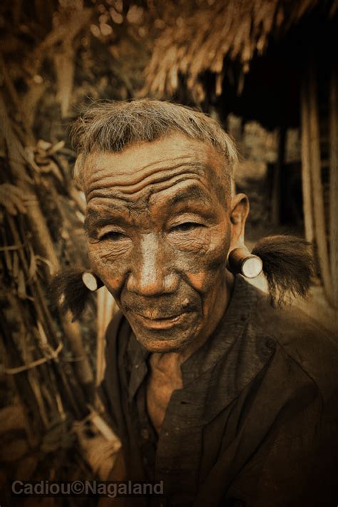 Image result for Human Resource Functions Model