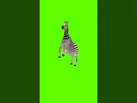 Image result for Cartoon Greenscreen