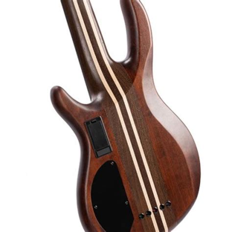 Buy Cort A5 Ultra Ash 5 String Bass Guitar with Case - Etched Natural ...