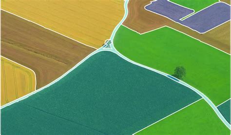 Image result for Image Annotation