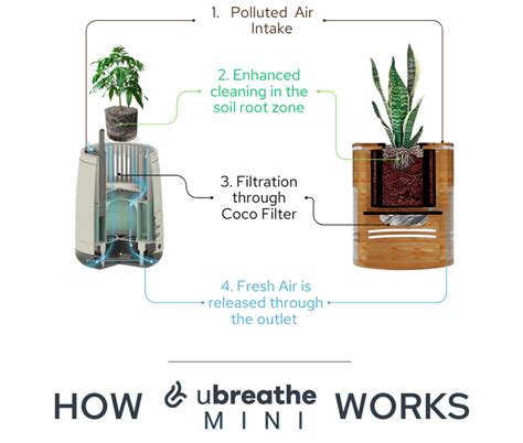 How It Works | Our Technology | uBreathe Air Purifiers