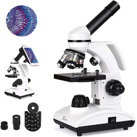 Image result for Microscope Optique