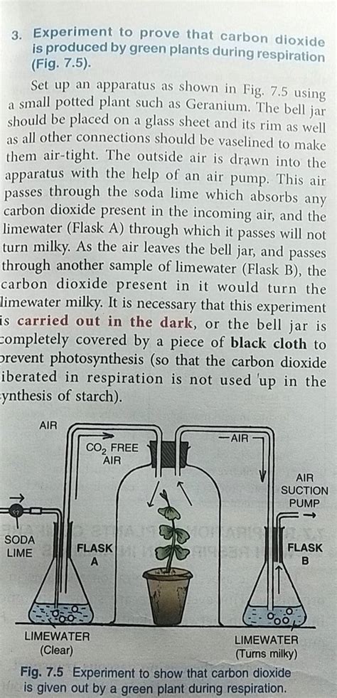 3. Experiment to prove that carbon dioxide is produced by green plants du..