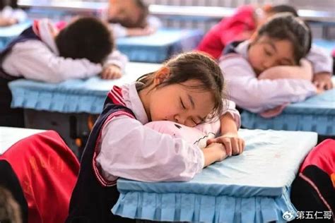 一小学收取午休费被责令退还最新素材