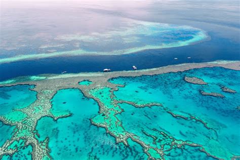 Ocean deposits and Coral Reefs
