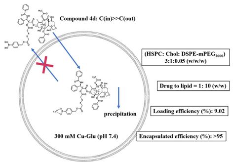 Synthesis of Paclitaxel Derivatives for Remote Loading into Liposomes ...