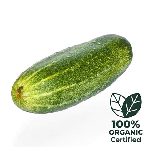 Organic Fruits & Vegetables: Buy Organic Fruits & Vegetables Online ...