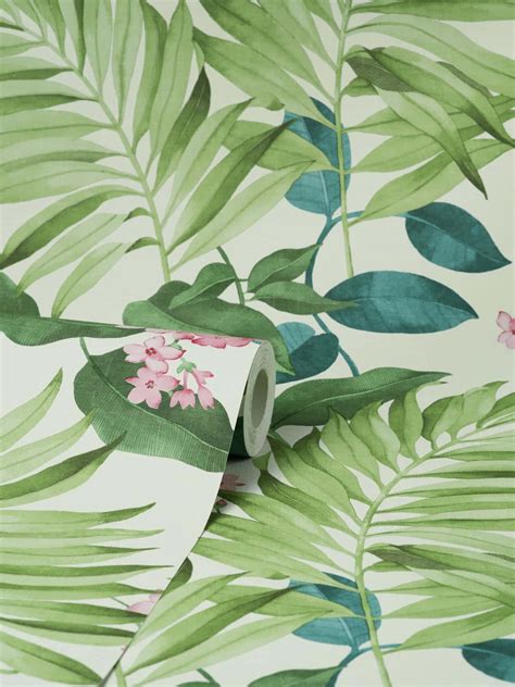 [100+] Aesthetic Palm Leaves Wallpapers | Wallpapers.com