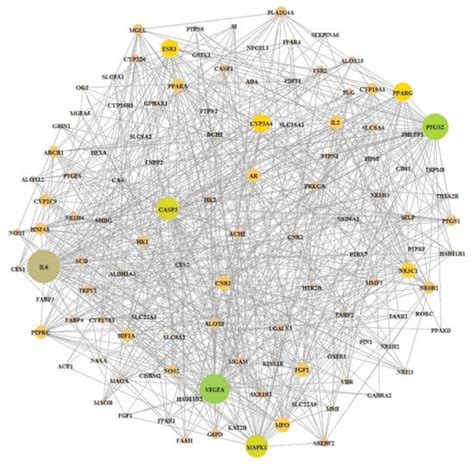Network Pharmacology Study to Interpret Signaling Pathways of Ilex ...