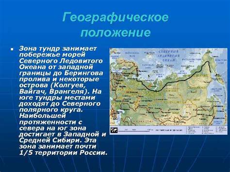 Тундра и лесотундра. Содержание Географическое положение n