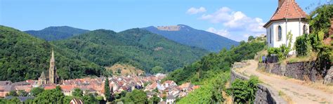 Holiday Accommodation & Lettings in Colmar from ₹6,335 | HomeToGo